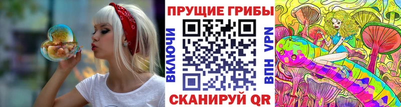 Псилоцибиновые грибы ЛСД  Владимир 