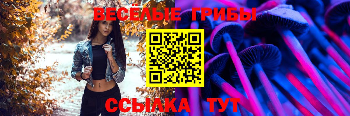 Псилоцибиновые грибы GOLDEN TEACHER Владимир