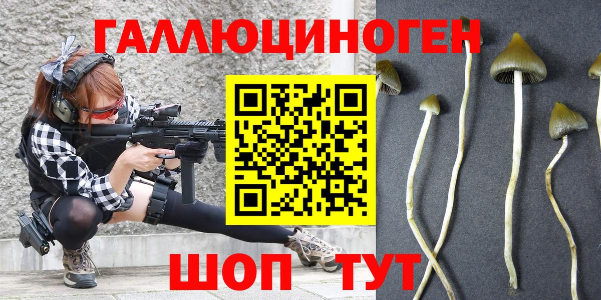 Галлюциногенные грибы Magic Shrooms Владимир