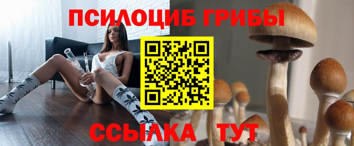 Владимир  Псилоцибиновые грибы ЛСД  Вход с VPN  Галлюциногенные грибы мицелий 