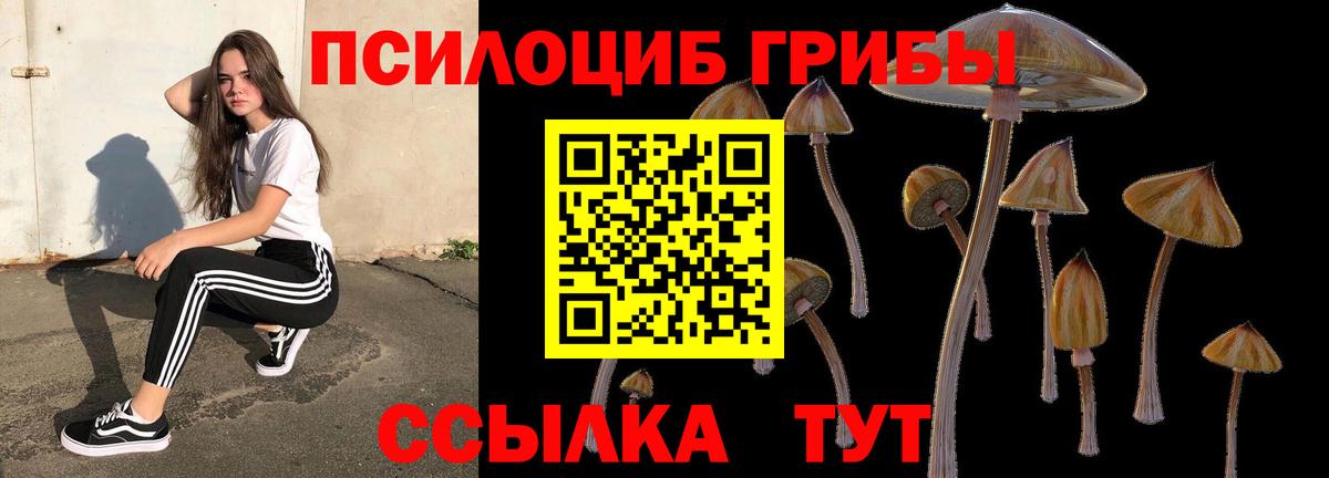 Псилоцибиновые грибы Psilocybe  купить закладку  Галлюциногенные грибы Psilocybe  Владимир 